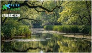 wood duck habitat and range