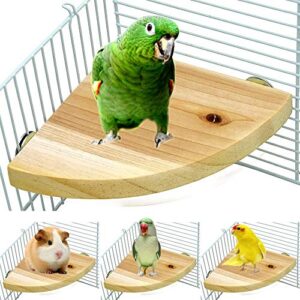 Wood Perch Bird Platform Parrot B078NPRDWP