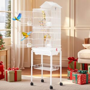 62 inch Metal Bird Cage: Spacious B0DN64X97Y