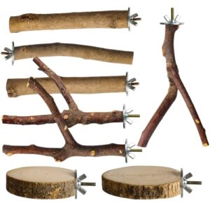 8 Pack Natural Wood Bird B0FK4VBDYT