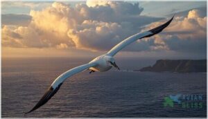 albatross lifespan and records