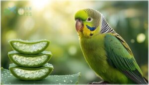 aloe vera for skin and feather health