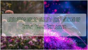 are birds color blind are birds color blind