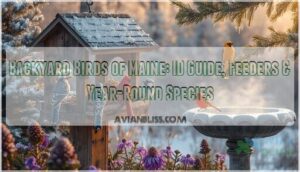 backyard birds of maine