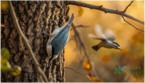 behavior and social structure