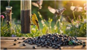 benefits of feeding birds nyjer seed