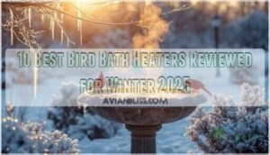 best bird bath heater reviews