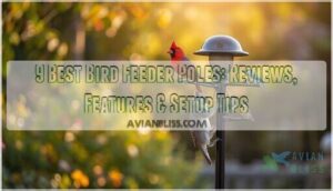 best bird feeder pole