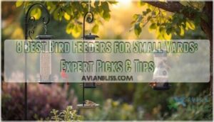 best bird feeders for small yards
