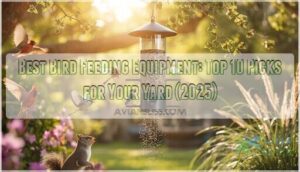 best bird feeding equipment