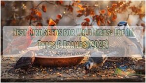 best bird seeds for wild birds
