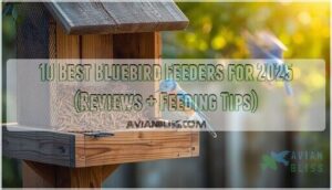 best bluebird feeders