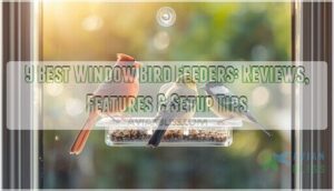 best window bird feeder best window bird feeder