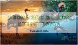 biggest birds