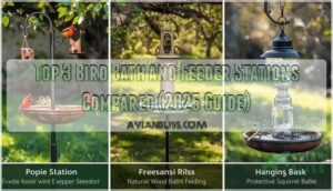 bird bath and feeder stations