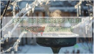 bird bath heater ice prevention