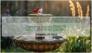 bird bath with fountain