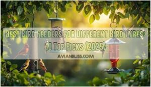 bird feeders for different bird types