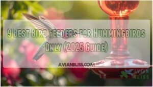 bird feeders for hummingbirds only