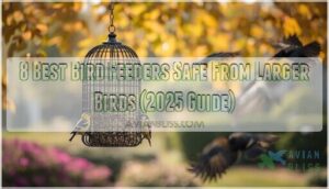 bird feeders safe from larger birds