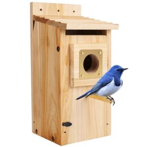 Bird Houses for Outside with B0F6CBPWVY