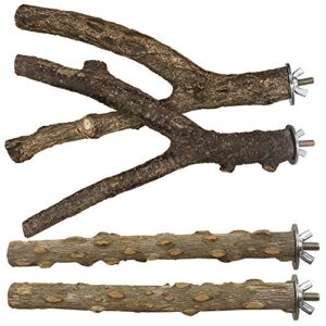 Bird Perch 4 PCS Natural B07Y3B2QXY