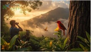 birdwatching and conservation efforts