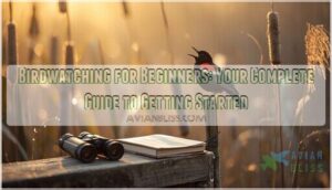 birdwatching for beginners guide
