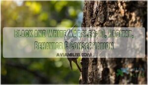 black and white warbler