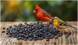 black oil sunflower seeds black oil sunflower seeds