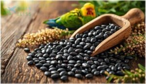 black oil sunflower seeds – protein & vitamins