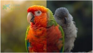 body language and bird health