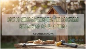 building a birdhouse for backyard birds