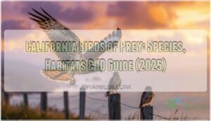 california birds of prey