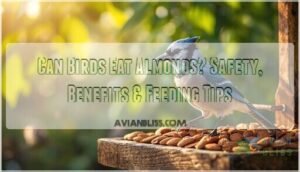 can birds eat almonds