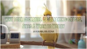 cockatiel making squeaking noises