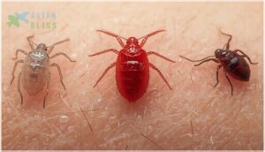 color changes after feeding