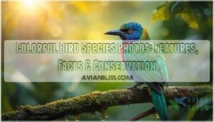 colorful bird species photos