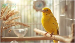 common diseases affecting canaries common diseases affecting canaries