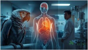 complications in birds and humans complications in birds and humans