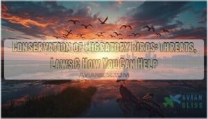 conservation of migratory birds