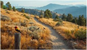 devil's spur trail (5.2 mi, moderate, 4.6 stars)