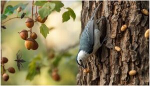 diet and feeding preferences