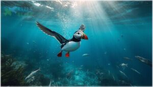 diet and foraging behavior