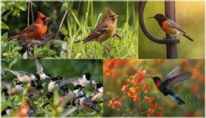 distinctive behaviors