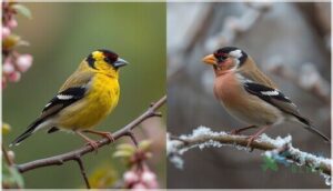 distinguishing seasonal plumage changes distinguishing seasonal plumage changes