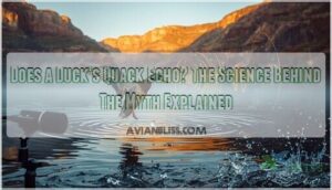 does a ducks quack echo