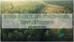 effects of habitat loss on birds
