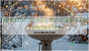 energy efficient bird bath heater