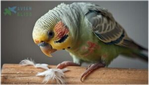 feather loss and irritation